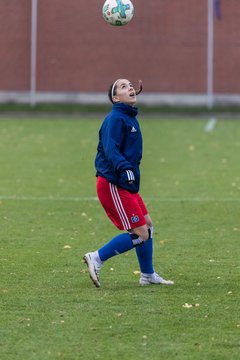 Bild 49 - B-Juniorinnen HSV - VfL Wolfsburg : Ergebnis: 2:1